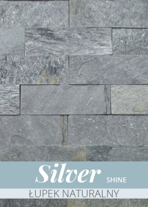 Silver shine - łupek naturalny płytki 30 x 10 - 0,45 m2