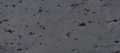 antracyt b8 00.PNG