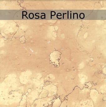 Rosa Perlino.jpg